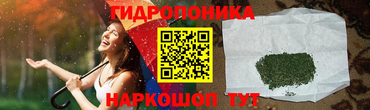 Конопля сатива Астрахань